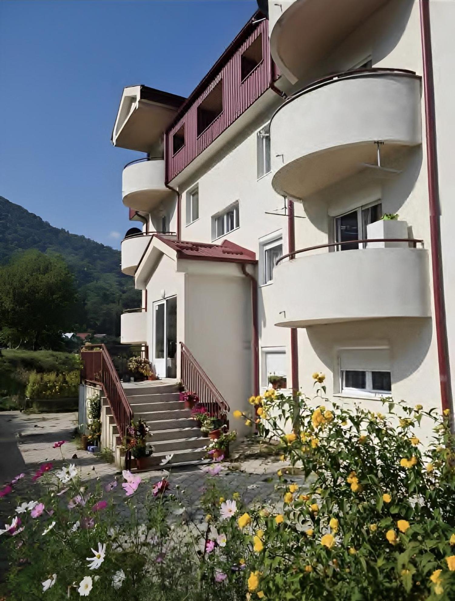 Elena Apartment Plužine Exterior foto