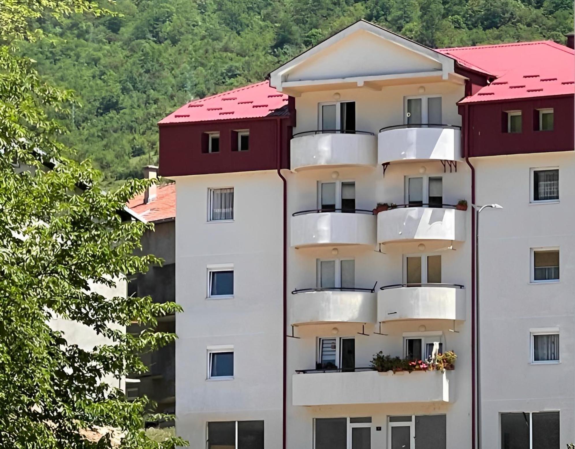 Elena Apartment Plužine Exterior foto